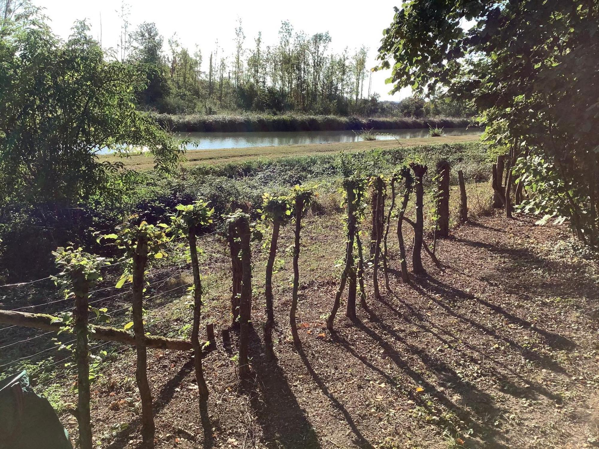 Autour Des Vignes Acomodação com café da manhã Herry Exterior foto